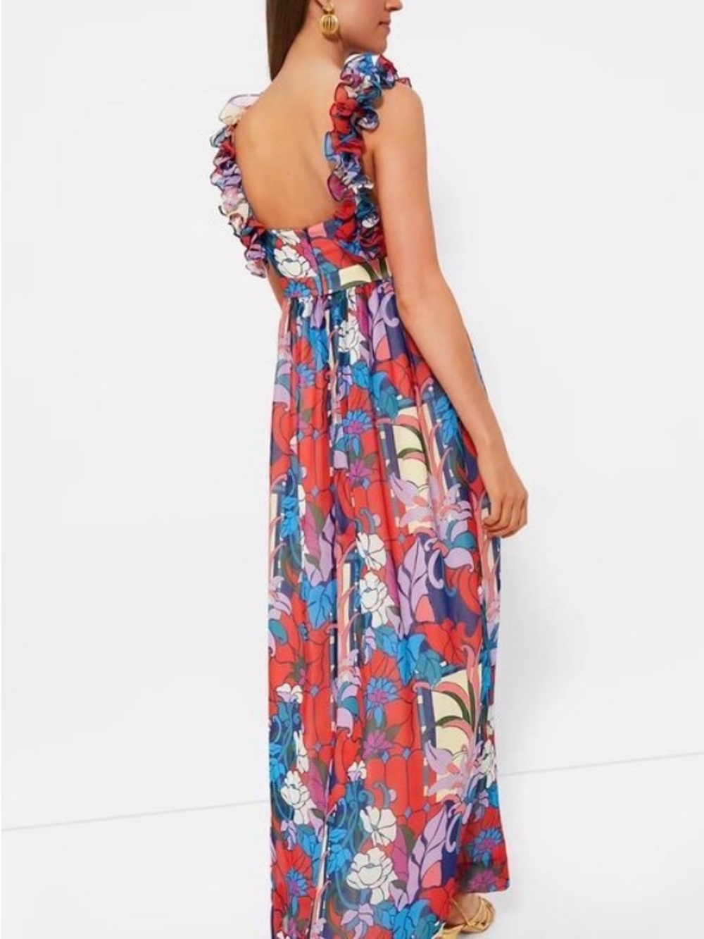 NWT Sz XL Tuckernuck climbing cosmos Priscilla Dress - Picture 2 of 6